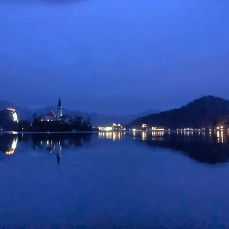 Sovica