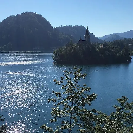 Sovica