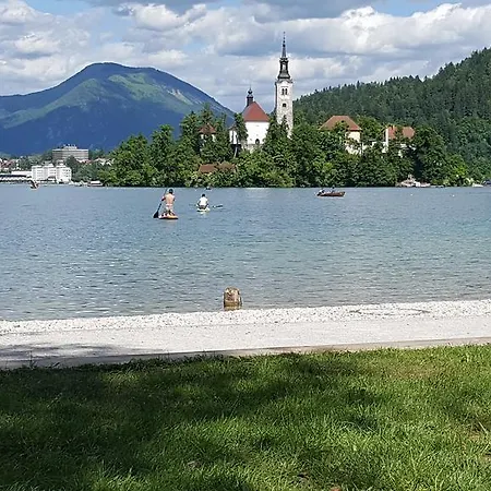 Sovica