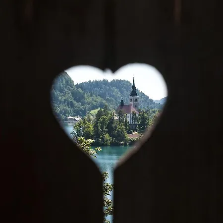 Sovica Feriehus Bled