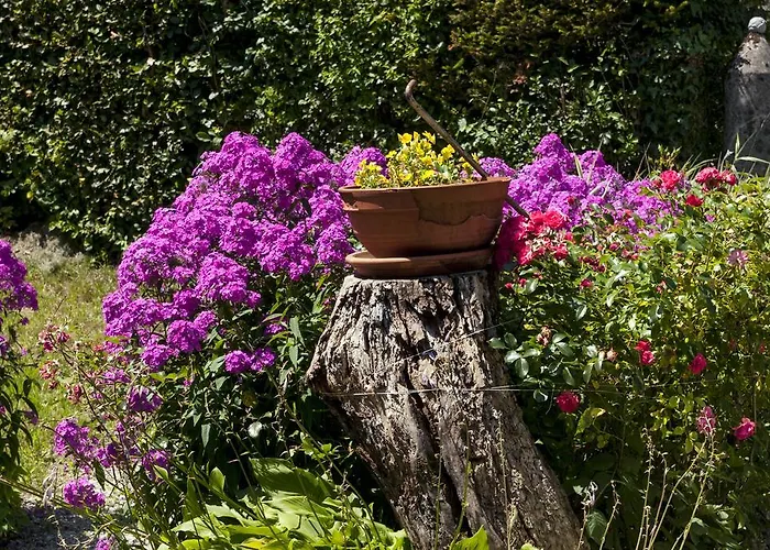 Sovica Casa vacanze *